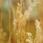 Hogyan Regisztr&aacute;lj &eacute;s Kezdd el a J&aacute;t&eacute;kot a TippmixPRO Fel&uuml;let&eacute;n?