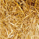 Admiralbet: Scopri le Opportunit&agrave; con il Bonus e l’App