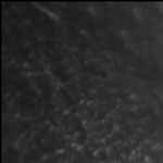 Come Utilizzare Betpoint: App, Scommesse, Casin&ograve; e Bonus